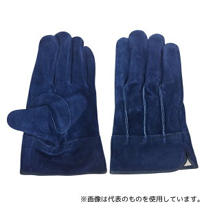 ACE() AG4813-M v ICH OD   MTCY