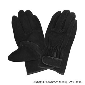 ACE() AG4831 v ICH }WbNe[v  