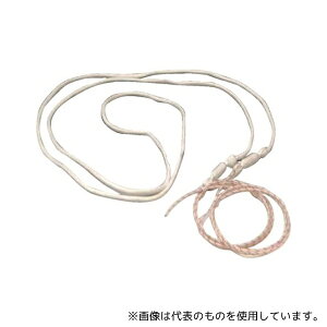 Zp CVL-2 TTL R[hq[^[