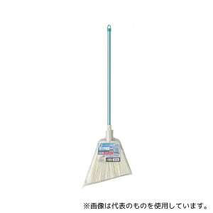 RY(Rh) 2989.jp+(PP) S