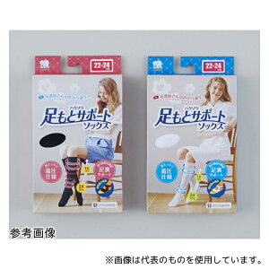 nN]EfBJ 3000091 nN]EƃT|[g\bNX STCY 22-24cm ubN