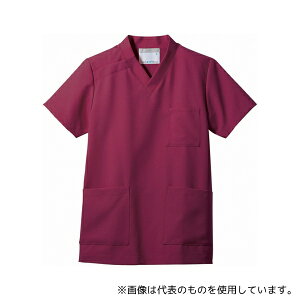 Zu MS242-81 L XNu p  C L