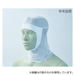 Zu HN-31 M wA[lbg p Ԃ莮  M