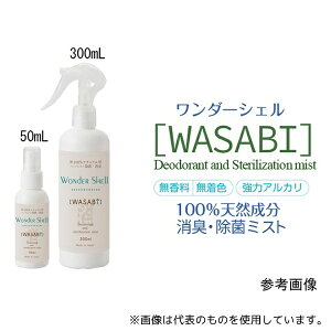 �T�����[��� wondershell-300-1 �����_�[�V�F�� ���ہE���L�X�v���[ WASABI 300ml 1��
