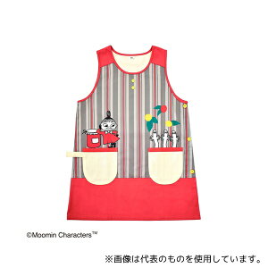 ZgfBX ST-IM0061 [~ Gv bh