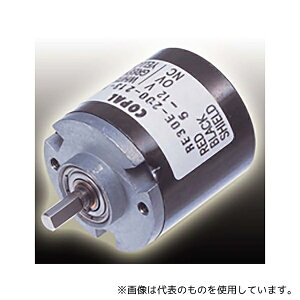 ���{�d�Y�R�p���d�q RE30E-1024-213-1 ���w���G���R�[�_ �p���X��:1024