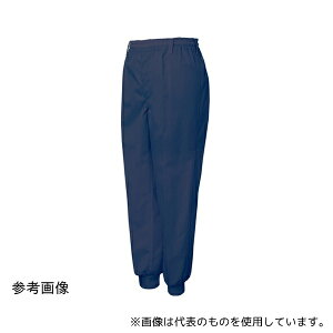 TGX FX70957J jp 炢 SEW[Wpc lCr[ M