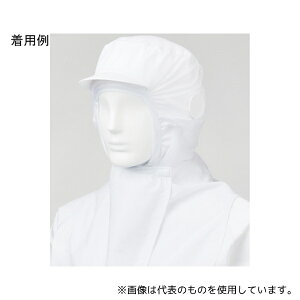 TGX FX75020 jp炢ۃ}XNttt[hLbv zCg t[