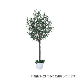 AY 61-780-33-1 tFCNO[(lH) H180cm I[u