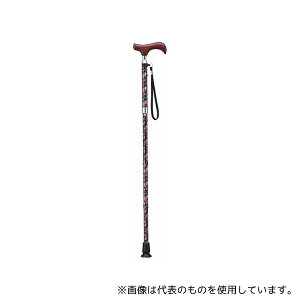 PCEzXsA E-254B XlbNXebL ܏ uE/ԕEubN