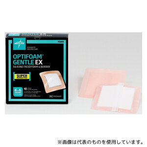 jgY MSCEX66EP IveBtH[ WFgEX  1(10)