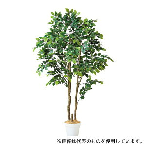 AY 61-806-80-2 }EeAbV(tFCNO[ lH)180cm