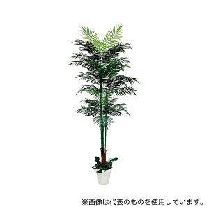 AY 61-806-84-1 AJV(tFCNO[ lH)210cm