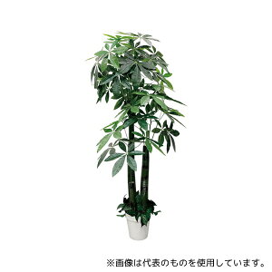 AY 61-806-88-1 pL(tFCNO[ lH)180cm