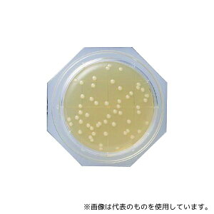 Ã_CAOmXeBNX 6784 N[X^vH10 SCDV|n 1(100)