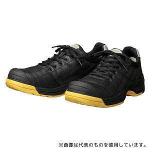 hP DYPR-22 SC _CiXeB v Ђ ubN 29cm