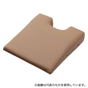 tBteBEBWi[ FV-915-CAM NEOoXgNbV(GAz[t)L(cȂ)