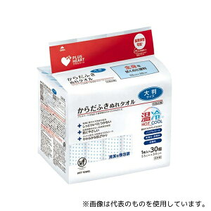 オオサキメディカル PHからだふきぬれタオル 大判 1枚×30個入