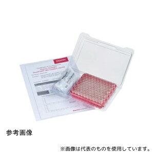 Thermo Fisher Scientific 6PMSCK534W MSCERT�F�ؕt�X�N�����[�o�C�A���L�b�g ���� 2mL ����/��/�� 100�g