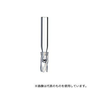 Thermo Fisher Scientific 6PME03C1SP �C���T�[�g 0.3mL �K���X �r�t 6×30mm 100�{��