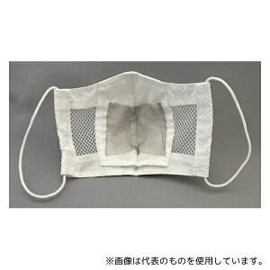 fBJEGCh AGSMMS003-01 CI}XN