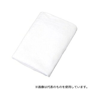 �O�a VN1000W 1000��Ɩ��p�o�X�^�I�� �z���C�g 10���� [�@�l����]