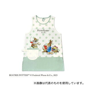 ZgfBX ST-IP0003 s[^[rbgH Gv X[L[O[
