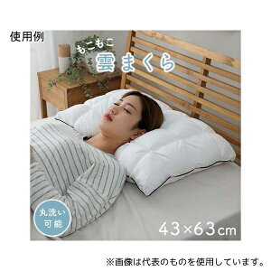 AY 1.20E+12  Jo[t 43×63cm