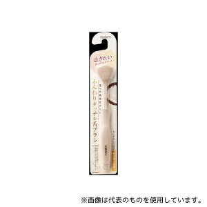 GrX(pi) B-D4590 ӂ^b`ȐuV