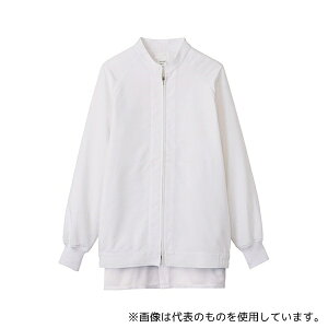 T[H(TybNXCXg) VP621 jpWp[ zCg 4L