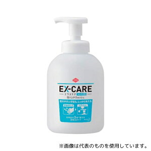 ԉ 4.90E+12 Ɩp\teBEX]CARERpNgAnhEHbV