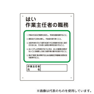 AY 356-11 ƎCҐE ͂ƎC҂̐E