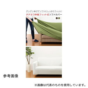 t@~[ECt 347110 LktBbg\t@[Jo[(^eRXgb`)2l|pI AC{[
