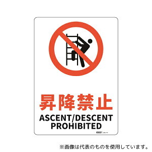 Z[tSpi J2565-PM SW(HIPS) ~֎~ 254×356mm