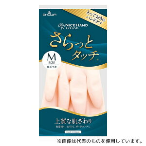 V[O[u NHST-MP iCXnh ƃ^b` M sN 10o