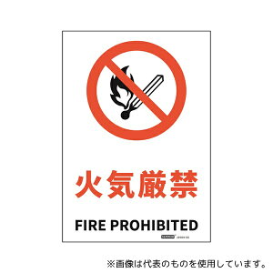 Z[tSpi J2504-SS SWXebJ[ ΋C 178x254mm