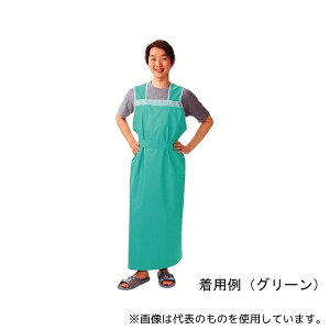 sW 1005904 y₩pGv O^Cv jp O[