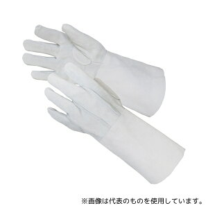 xm܍H 3014 gRe nڗp5{wv