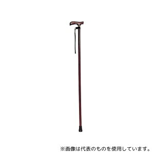Ka쏊 CAN01 ؐ uE