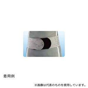 AVXg 15272 fbNXՃxg ubNO[ M