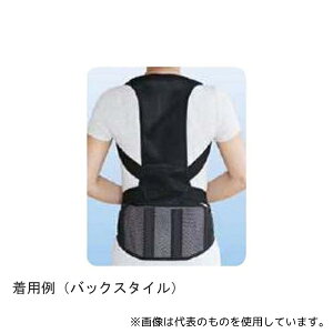 AVXg 27801 w؂xgDX ubN ML