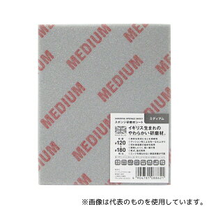 WIZ'A(A[NhTJg) 149134 ARC X|WރV[g ~fBA