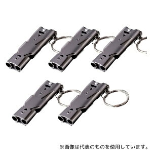 Z[tSpi J2438-5 剹ʃzCbX