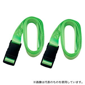 WIZ'A(A[NhTJg) WZ-ND20G ^b`גxg 25mm×2m 2 O[