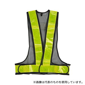 WIZ'A(A[NhTJg) 292503 ˈSxXg lCr[×CG[ XLTCY