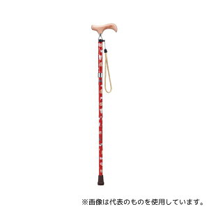 PCEzXsA AN-12 veBLbc܏ bh