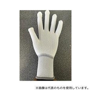 Yf Ci[O[u I-100 SSTCY 10o