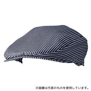 KAZEN APK485-99 n`O qbR[XgCv t[