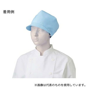 KAZEN APK481-41 Lbv TbNX t[