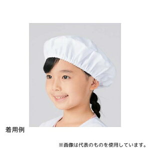 KAZEN KZN392-80 HX(2)zCg t[